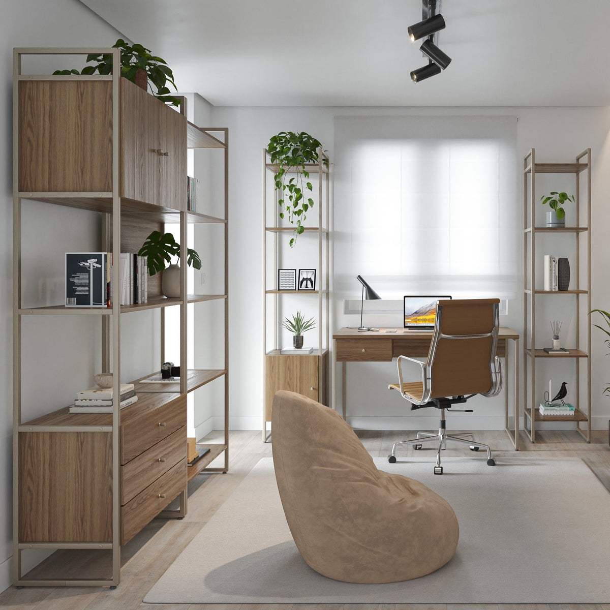 Linha Voss - Província