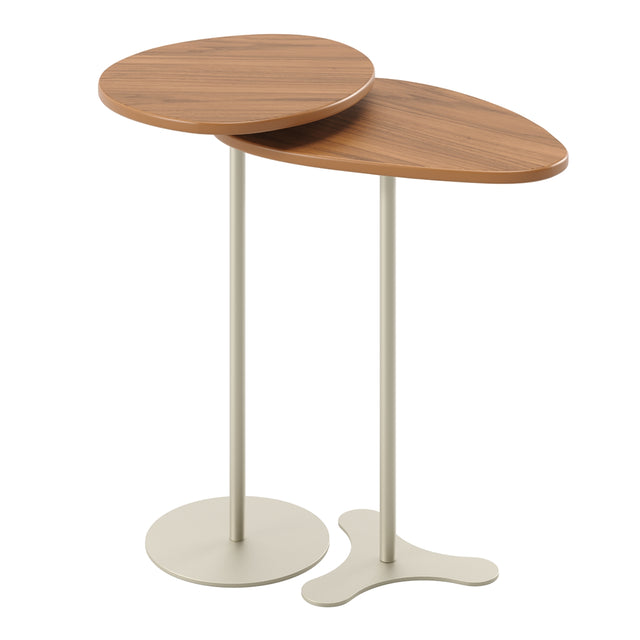 Kit 2 Mesas Laterais Decorativas Botanic Canella com Champanhe