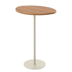 Kit 2 Mesas Laterais Decorativas Botanic Canella com Champanhe - Província - Mesas Laterais