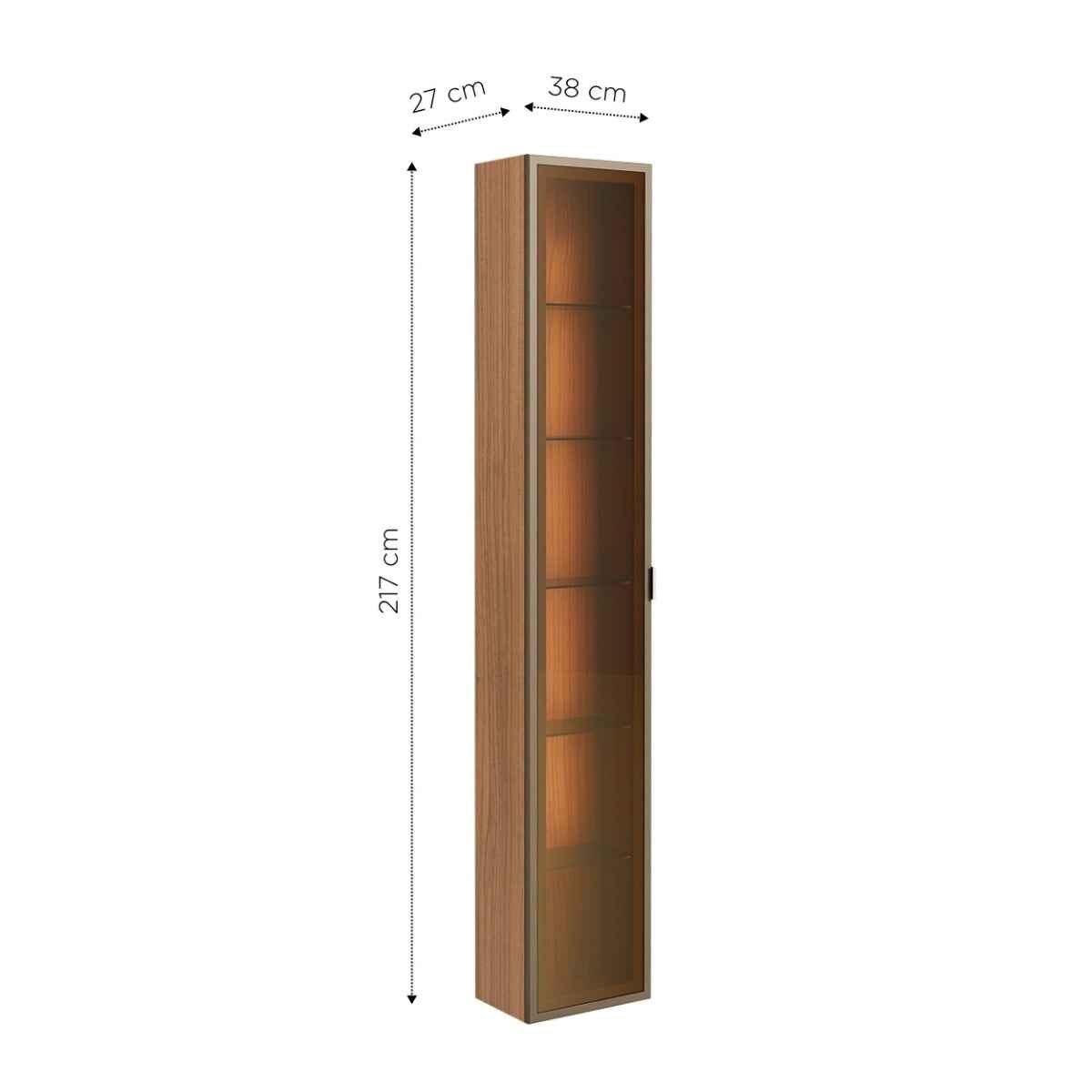 Módulo Cristaleira 1 Porta com Vidro Reflecta para Painel Neon Float - Província - Painel para TV